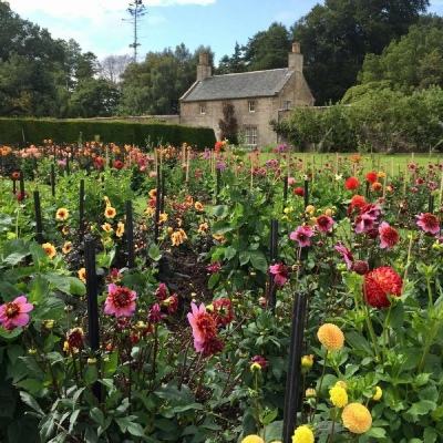 BOB·体育综合(综合)APP下载安装