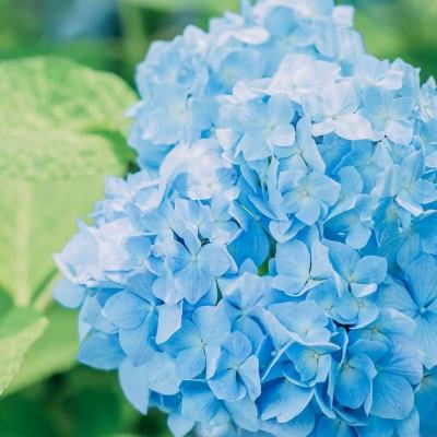 乐发彩票APP下载截图