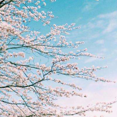 ku娱乐官网登录app下载